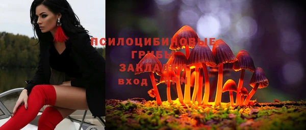 jwh Белокуриха