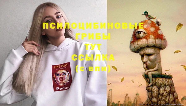 jwh Белокуриха